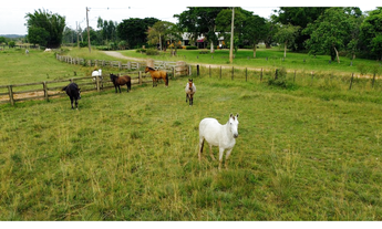 Imagem 3: Sítio à venda em Viamão, São José, 20000m²
