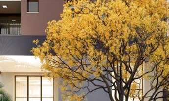 Imagem 2: 3 dormitórios na Rua Coronel Joviniano Brandão