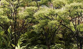 Imagem 2: Duplex à venda em São Paulo, Jardim Paulista, com 3 quartos, 268,65m²