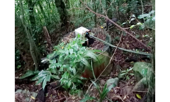 Imagem 3: CLBG 120 Lote 612511062-6 - CLBG 120 612511062-6