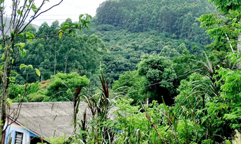 Imagem 6: CLBG 120 Lote 612511062-6 - CLBG 120 612511062-6