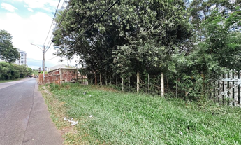 Imagem 2: Na Rua Tancredo Neves