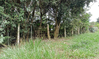 Imagem 3: Na Rua Tancredo Neves