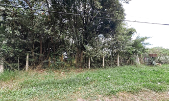 Imagem 4: Na Rua Tancredo Neves