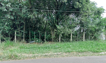 Imagem 5: Na Rua Tancredo Neves