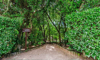 Imagem 4: 3 dormitórios na Rua Attílio Bilibio