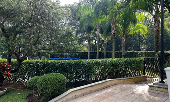 Imagem 6: Casa de condomínio à venda em São Paulo, Jardim Colombo, com 4 quartos, 354m²