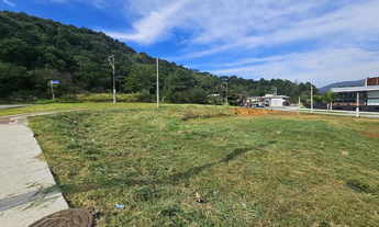 Imagem 5: BDBHDAF 600 Lote 590231111-60 - BDBAHDAF 600 Lote 590231111-60