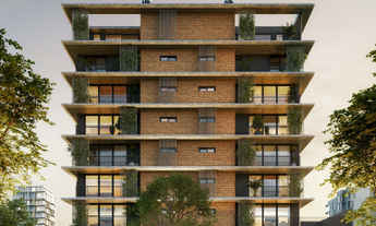 Imagem 2: Palmeira 178 - Palmeira 178