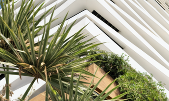 Imagem 5: COBERTURA RESIDENCIAL em João Pessoa - PB, Bessa