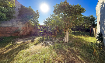 Imagem: NOL 72 Lote 612651056-8 - Terreno à venda