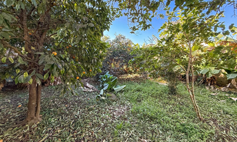 Imagem 2: Na Rua Oliveira Lima