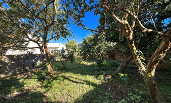 Imagem 3: Na Rua Oliveira Lima