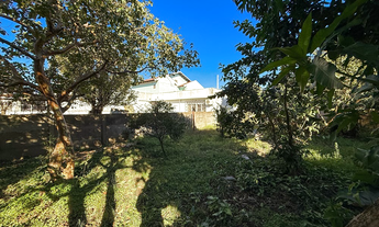 Imagem 4: Na Rua Oliveira Lima