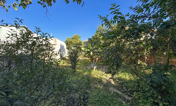 Imagem 5: Na Rua Oliveira Lima