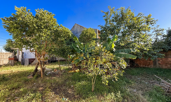 Imagem 6: Na Rua Oliveira Lima