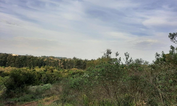 Imagem 5: Terreno à venda em Viamão, São Lucas, 443m²