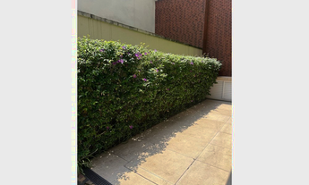 Imagem 3: CASA RESIDENCIAL em São Paulo - SP, Real Parque