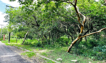 Imagem: CMCF 2 Lote 612651033-85 - Terreno à venda