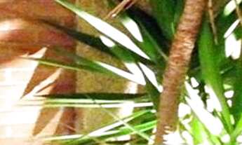 Imagem 6: Loft à venda em São Paulo, Morumbi, com 1 quarto, 65m²