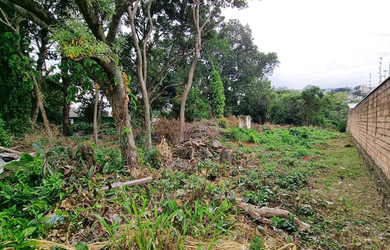 Imagem 3: NQ 305 Lote 610371008-98 - NQ 305 Lote 610371008-98