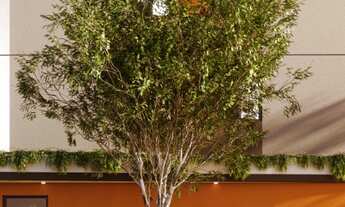 Imagem 2: Apartamento à venda em São Paulo, Vila Sônia, com 2 quartos, 35,97m²