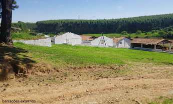 Imagem 2: Sítio à venda em Itu, Jardim Paraiso II, 16600m²