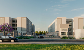 Imagem: Flores da Alvorada - Breve Lançamento