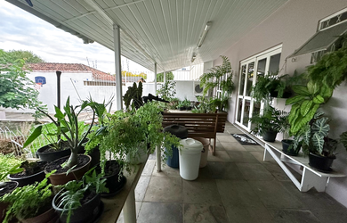 Imagem 6: PW 65 Casa - PW 65 Casa