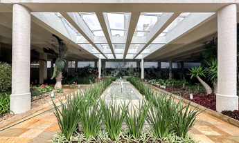 Imagem 6: 3 dormitórios na Rua Delmira Ferreira