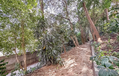 Imagem 15: APARTAMENTO RESIDENCIAL em São Paulo - SP, Jardim Aeroporto