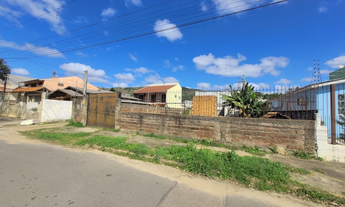 Imagem 3: JCPAPL 123 Lote 612541026-17 - JCPAPL 123 Lote 612541026-17