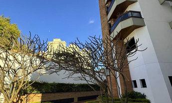 Imagem 4: APARTAMENTO RESIDENCIAL em São Paulo - SP, Tatuapé