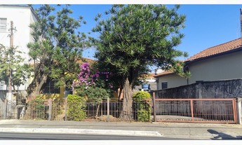 Imagem: CMNDP 683 Lote 602291016-216