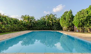 Imagem 5: Xico Stockinger Apto 15667 - Apartamento à venda no bairro Chácara das Pedras - Porto Aleg