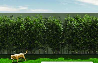 Imagem 16: Vibe Aricanduva, 2 dormitórios na Avenida Rio Das Pedras