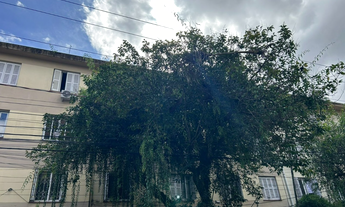 Imagem 4: Apartamento à venda em Porto Alegre, Menino Deus, com 3 quartos, 87m²