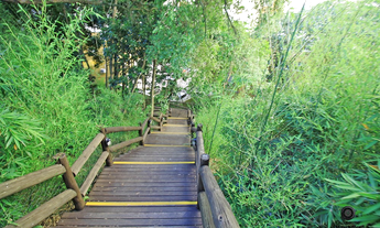 Imagem 2: PBG 1515 Apto 612481004-89 - Apartamento à venda no bairro Partenon - Porto Alegre/RS