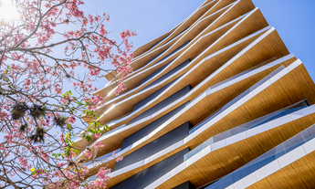 Imagem 2: Casa Cabral, 3 dormitórios na Rua Dona Leonor