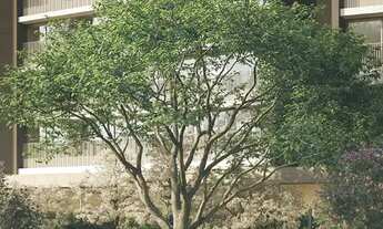 Imagem 4: COBERTURA RESIDENCIAL em São Paulo - SP, Alto de Pinheiros