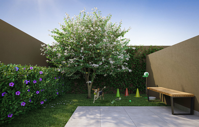 Imagem 16: Viva Benx Leopoldina III