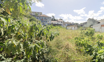 Imagem 6: Na Rua Teixeira De Freitas