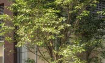 Imagem 6: Sala comercial à venda em São Paulo, Jardim Guedala, 41,33m²