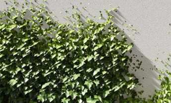 Imagem 4: Apartamento Padrão, 1 dormitório na Rua Cumaí