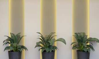 Imagem 3: Apartamento Garden, 2 dormitórios na Rua Carvalho De Freitas