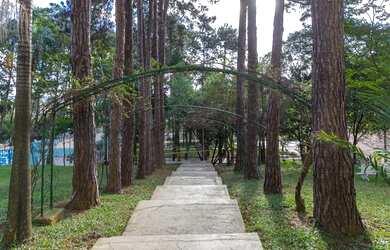 Imagem 7: Apartamento Cobertura, 3 dormitórios na Rua Cambuci Do Vale