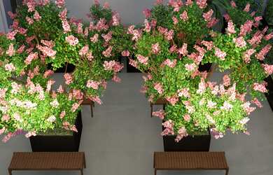 Imagem 15: APARTAMENTO RESIDENCIAL em São Paulo - SP, Freguesia do Ó