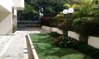 Imagem 6: Apartamento Padrão, 2 dormitórios na Rua Pascoal Vita