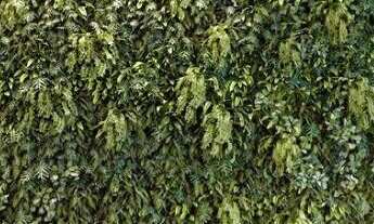 Imagem 2: 4 dormitórios na Rua Achilles Masetti