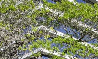 Imagem 3: Sala à venda no bairro Tristeza - Porto Alegre/RS